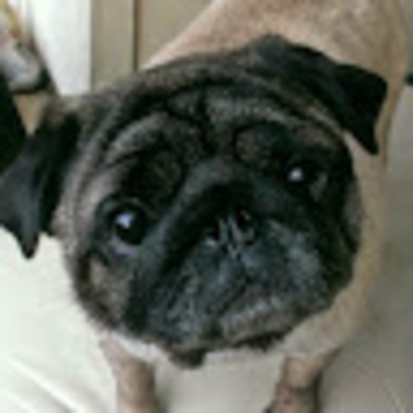 Meet your Posher, Linda - Picture 2 of 2